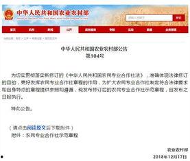 农村国宝爆料新闻最新版,揭秘最新版惊天新闻背后的真相